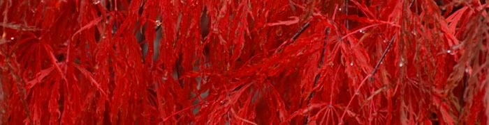 ppid.pa-tarakan.go.id